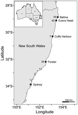 A taste of youth: Seasonal changes in the diet of immature white sharks in eastern Australia